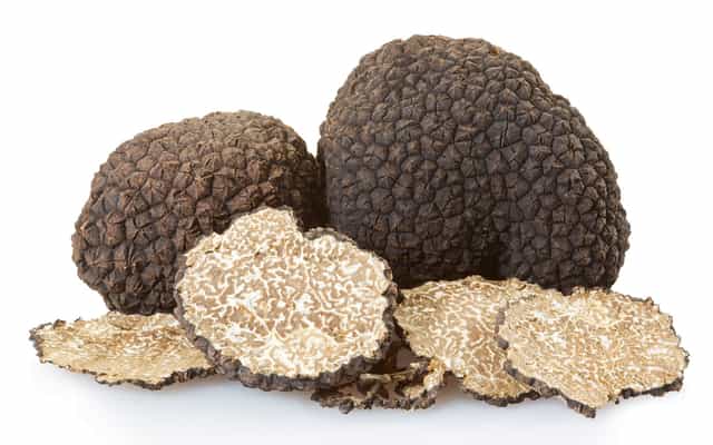 edible mushrooms