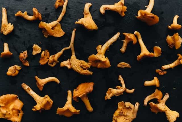 most expensive mushrooms list