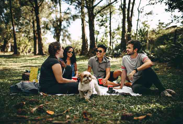 The Summer Fun Isn’t Over Yet! 5 Outdoor Activities for Late Summer Outdoor Activities for Late Summer