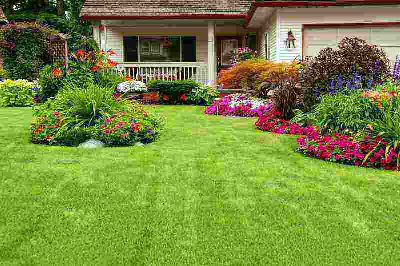 5 Essential Techniques for Creating and Maintaining Green Lawns